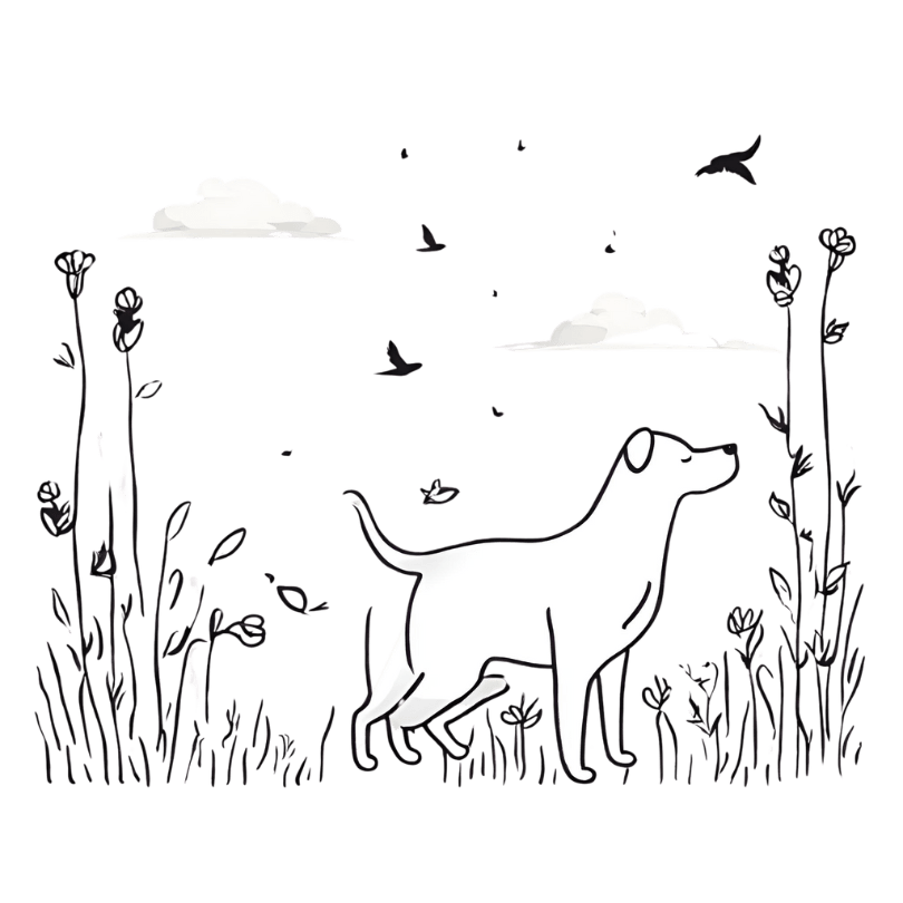 Pet Cremation (Mass Cremation)